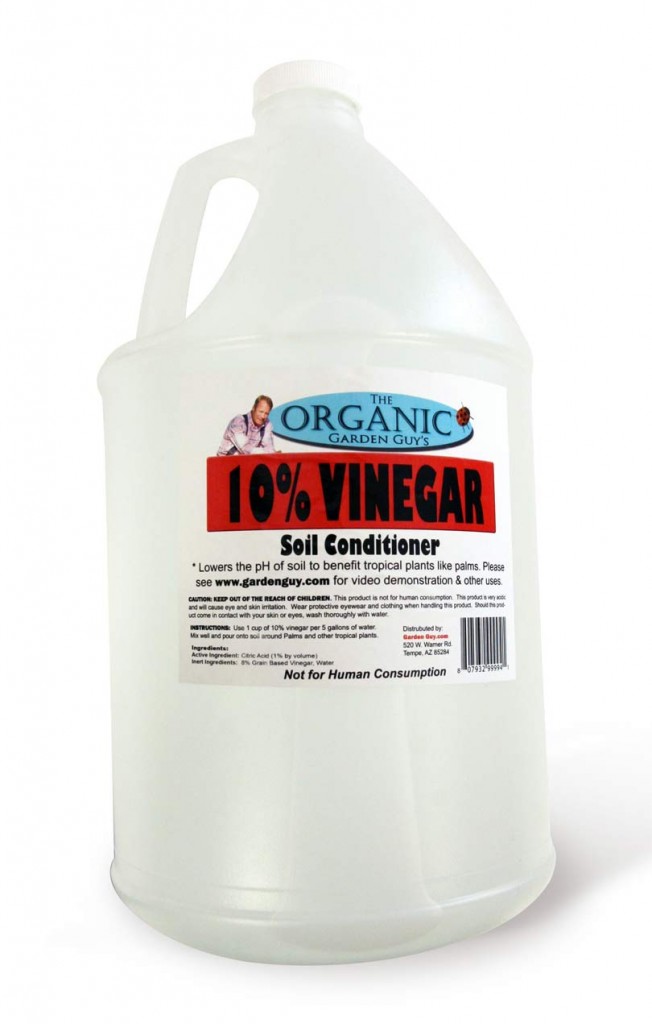 10 Vinegar